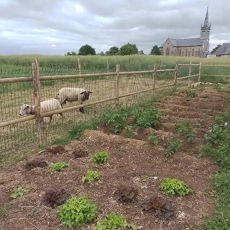 Le Bonheur En Bretagne *